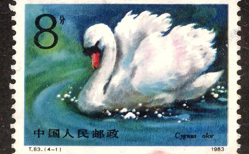 邮票防伪标签技术